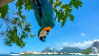 Parrotstamp6