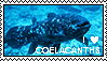 Fishstamp4