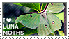 Mothstamp3