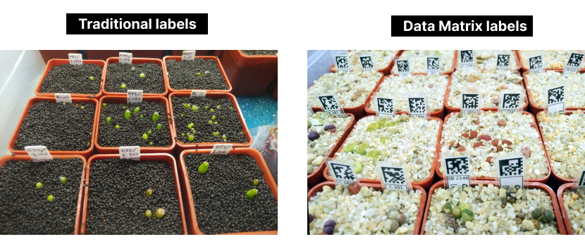 Data Matrix labeling