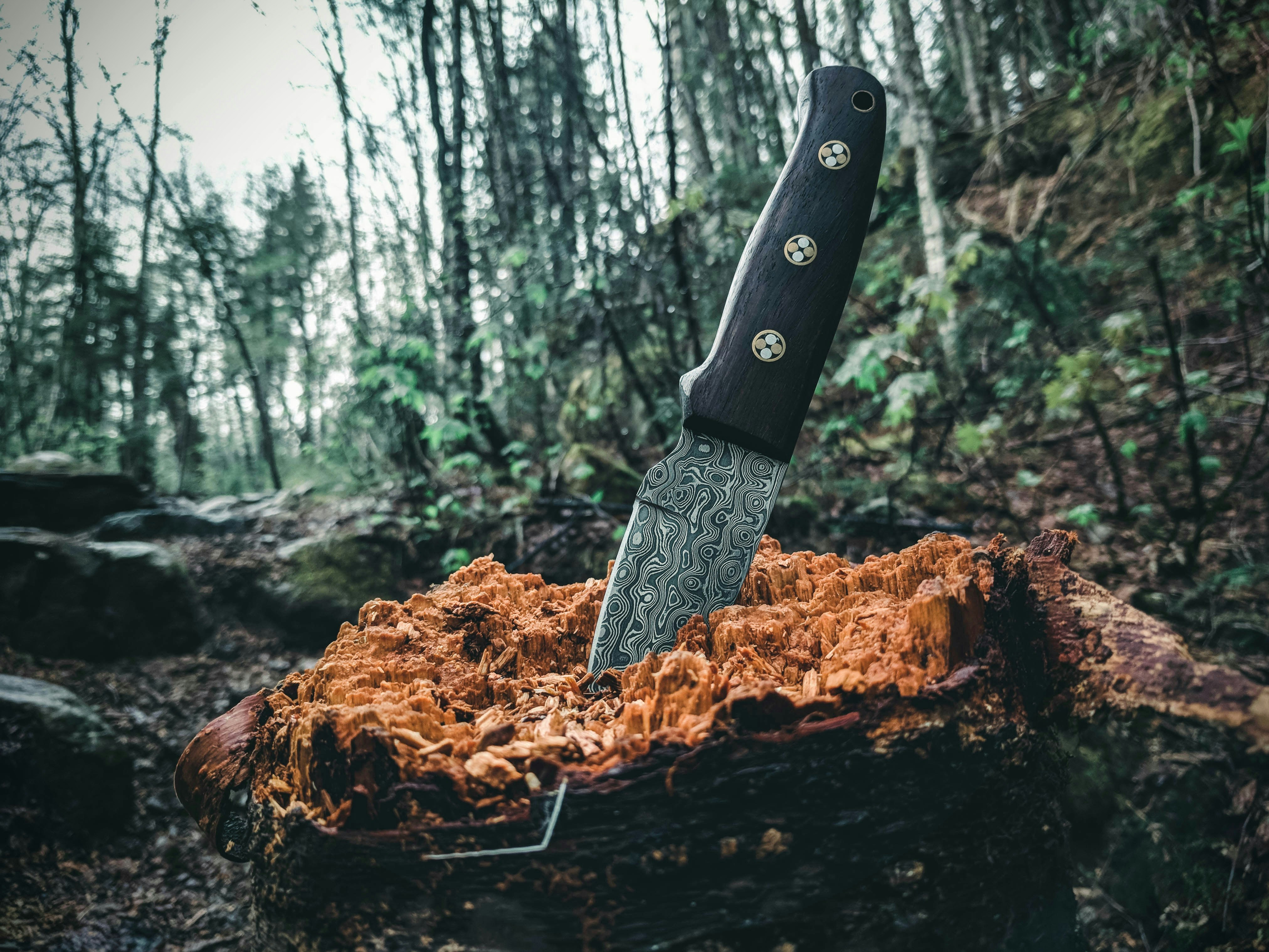 Lark Knives — forged by hand