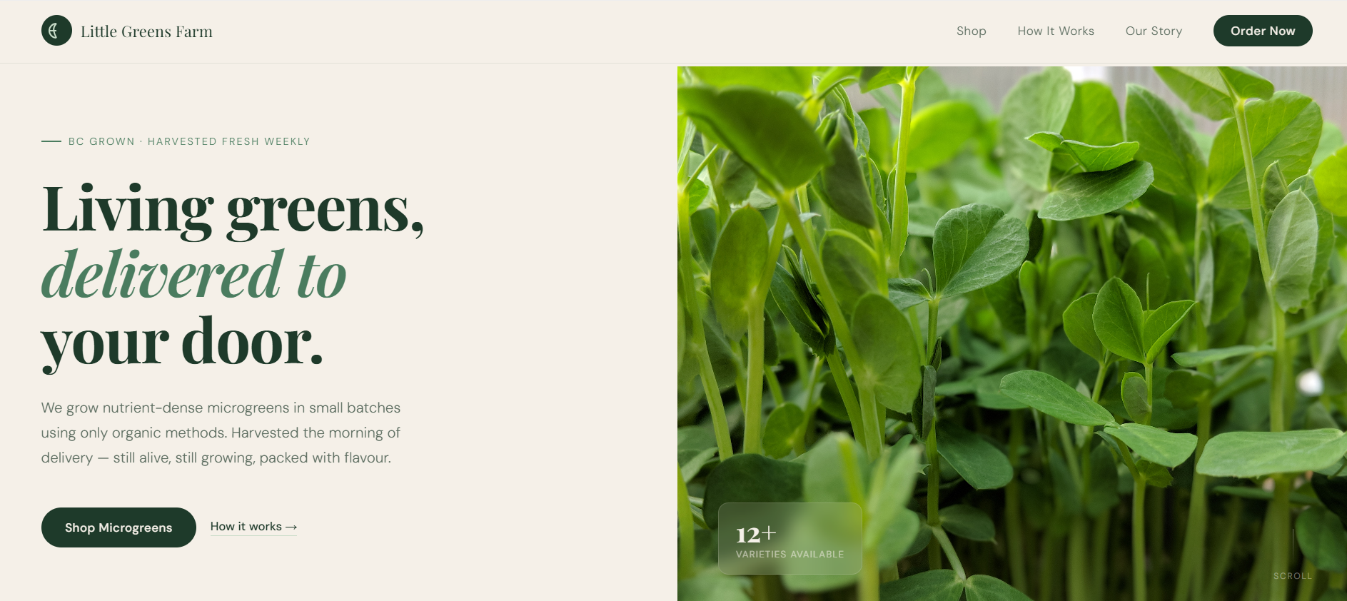 Little Greens Farm website