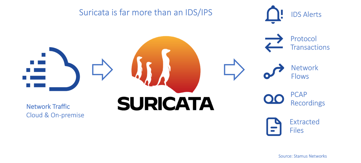 Suricata