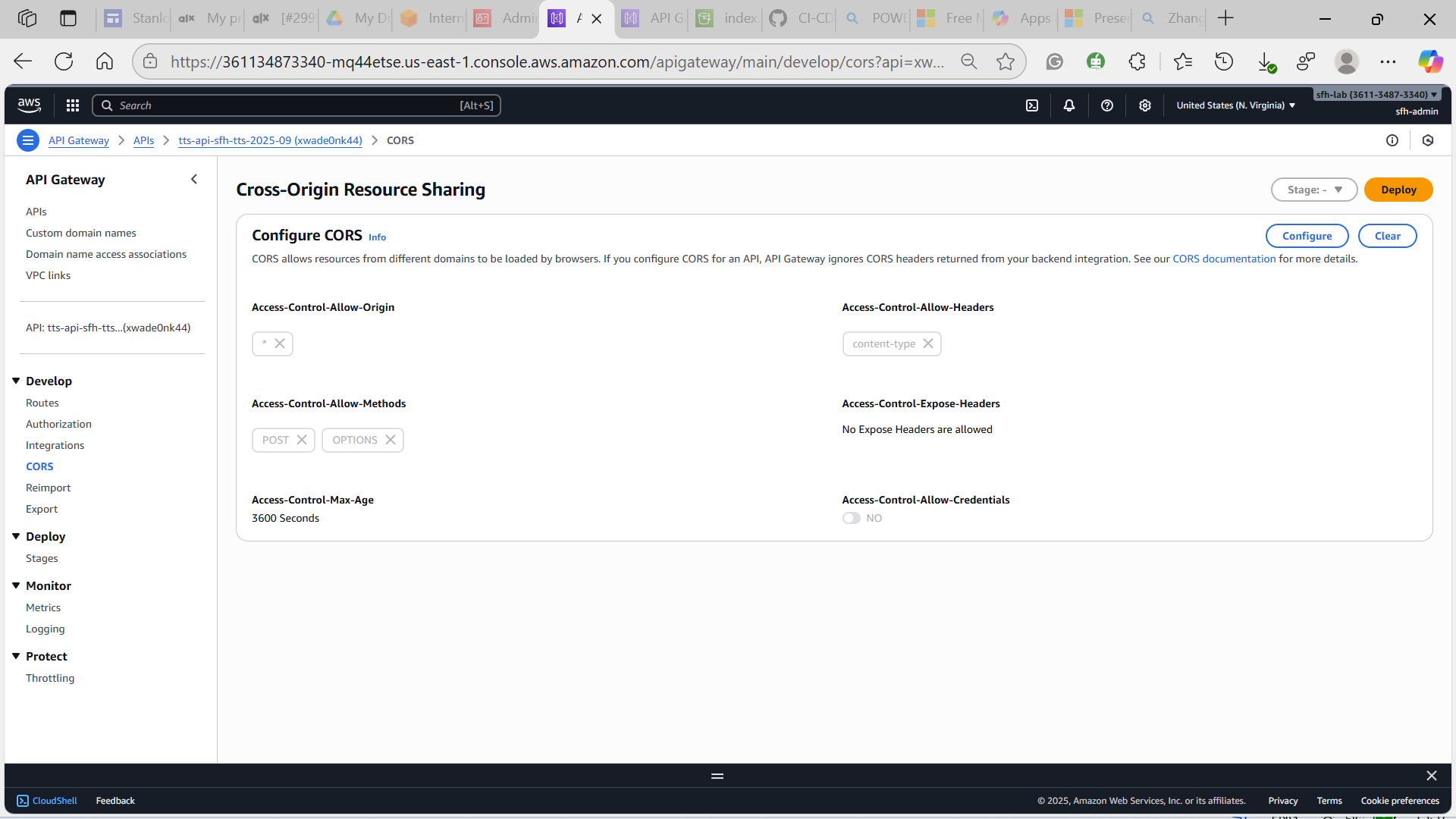 Amazon API Gateway CORS configuration screenshot
