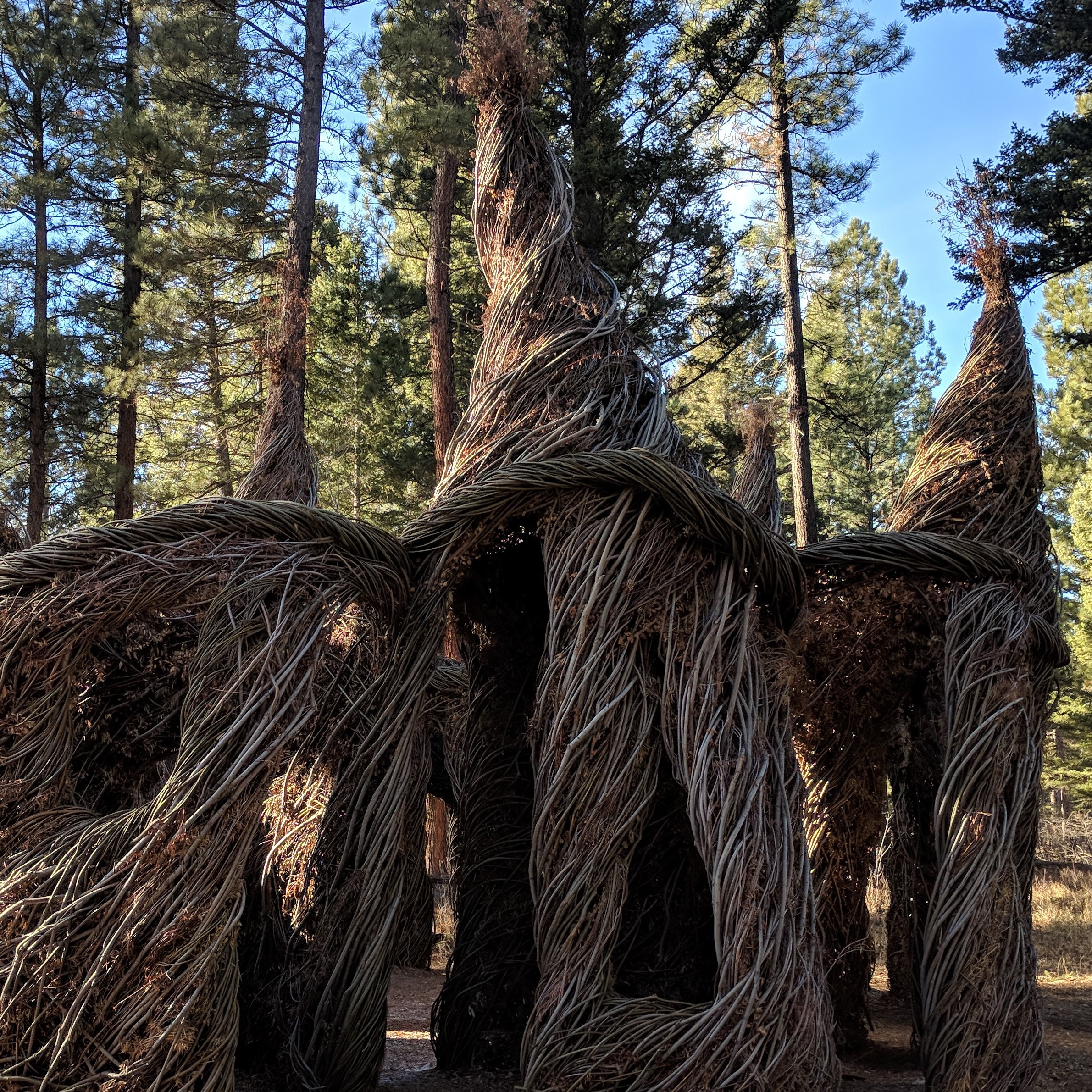 Local landmark in Lincoln, Montana