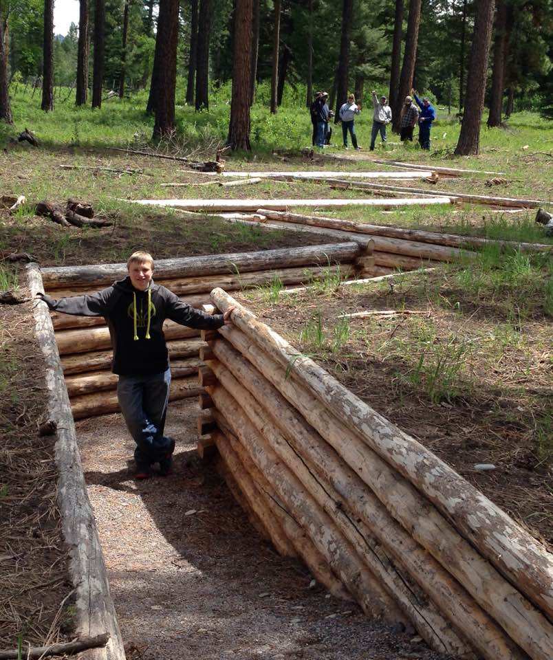 Sculpture in the Wild