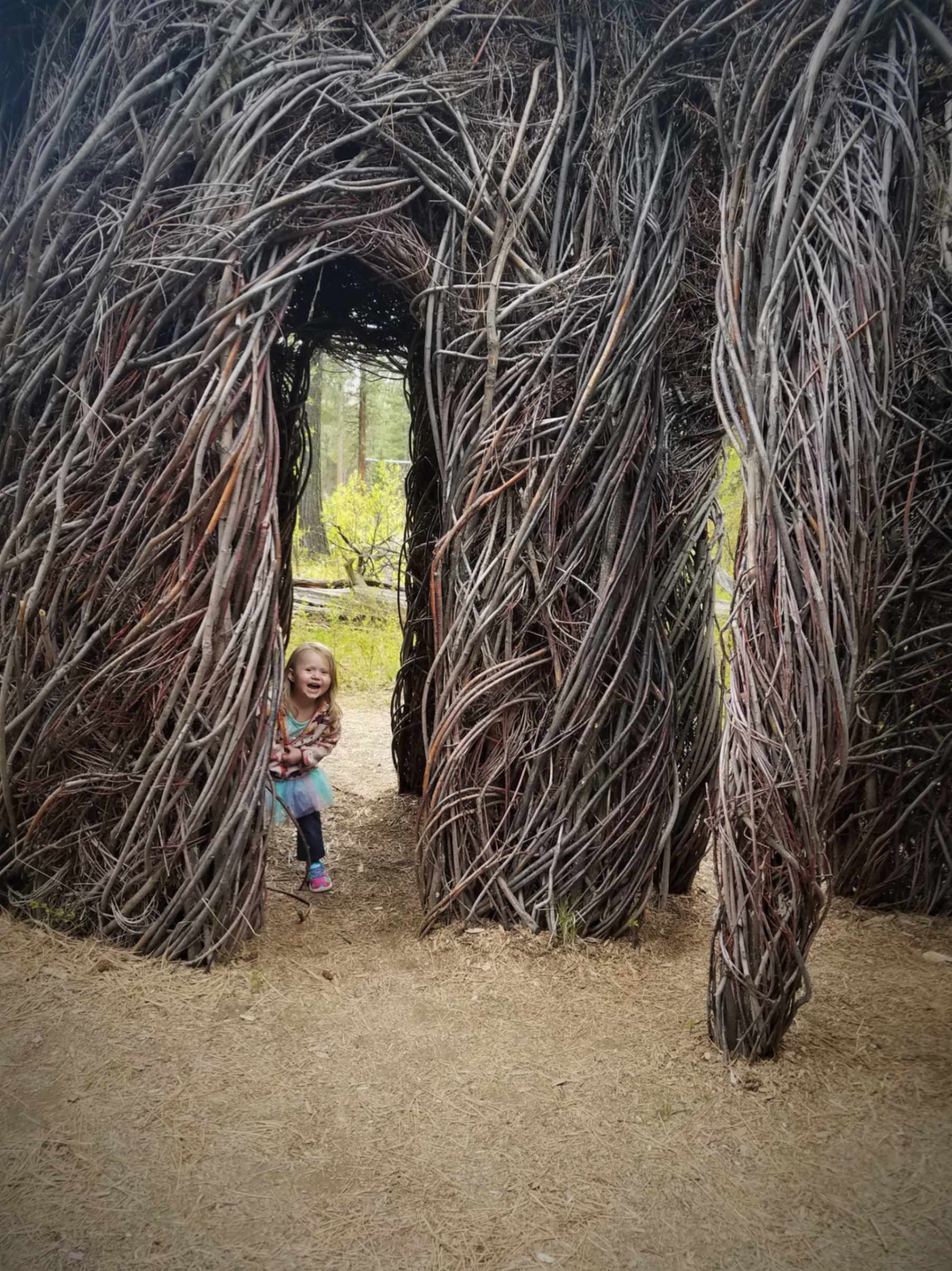 Sculpture in the Wild