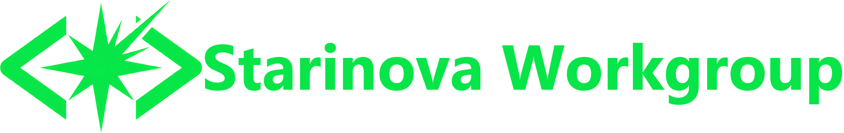 starinova-workgroup-logo