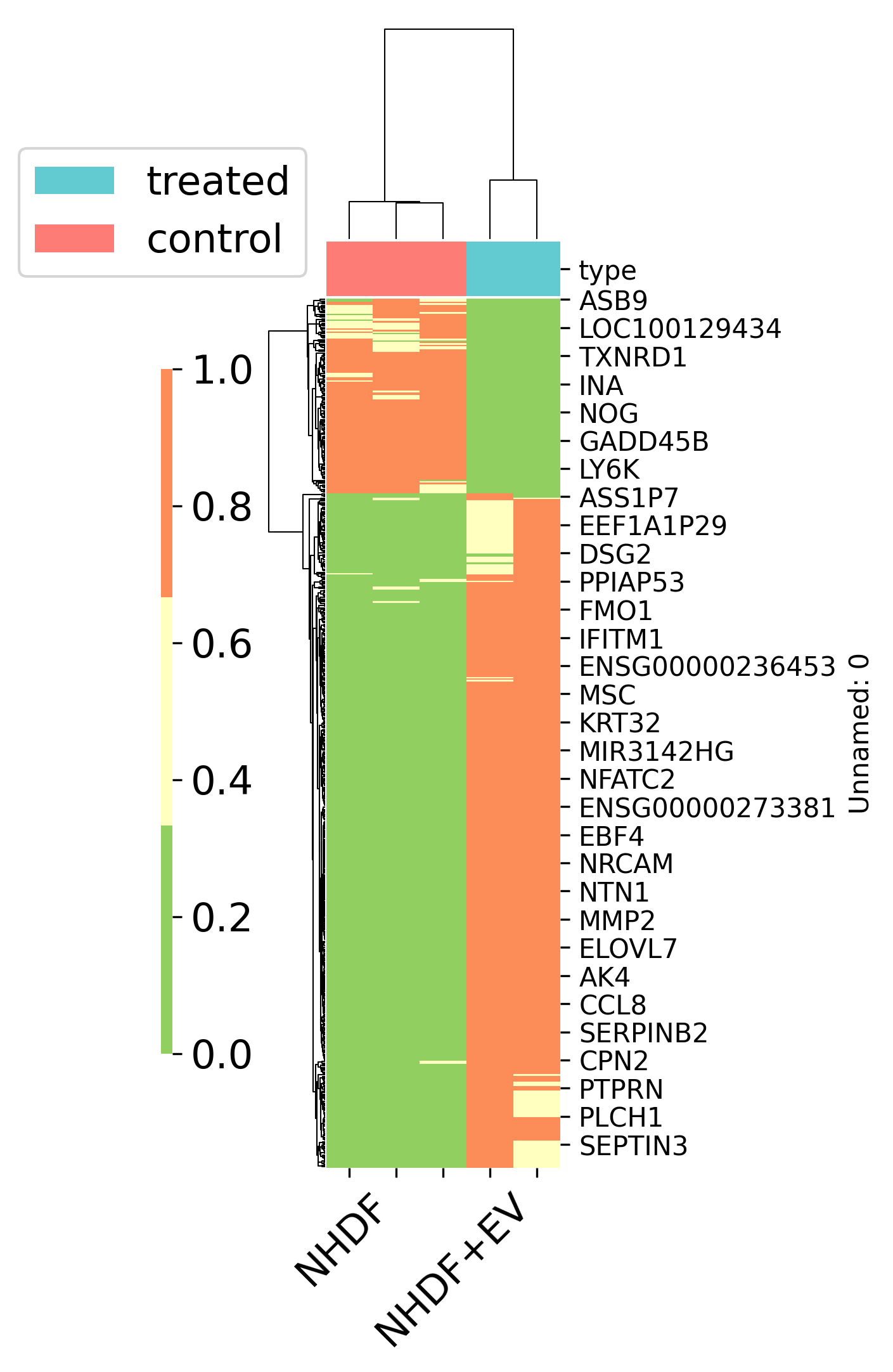 NHDF_heatmap