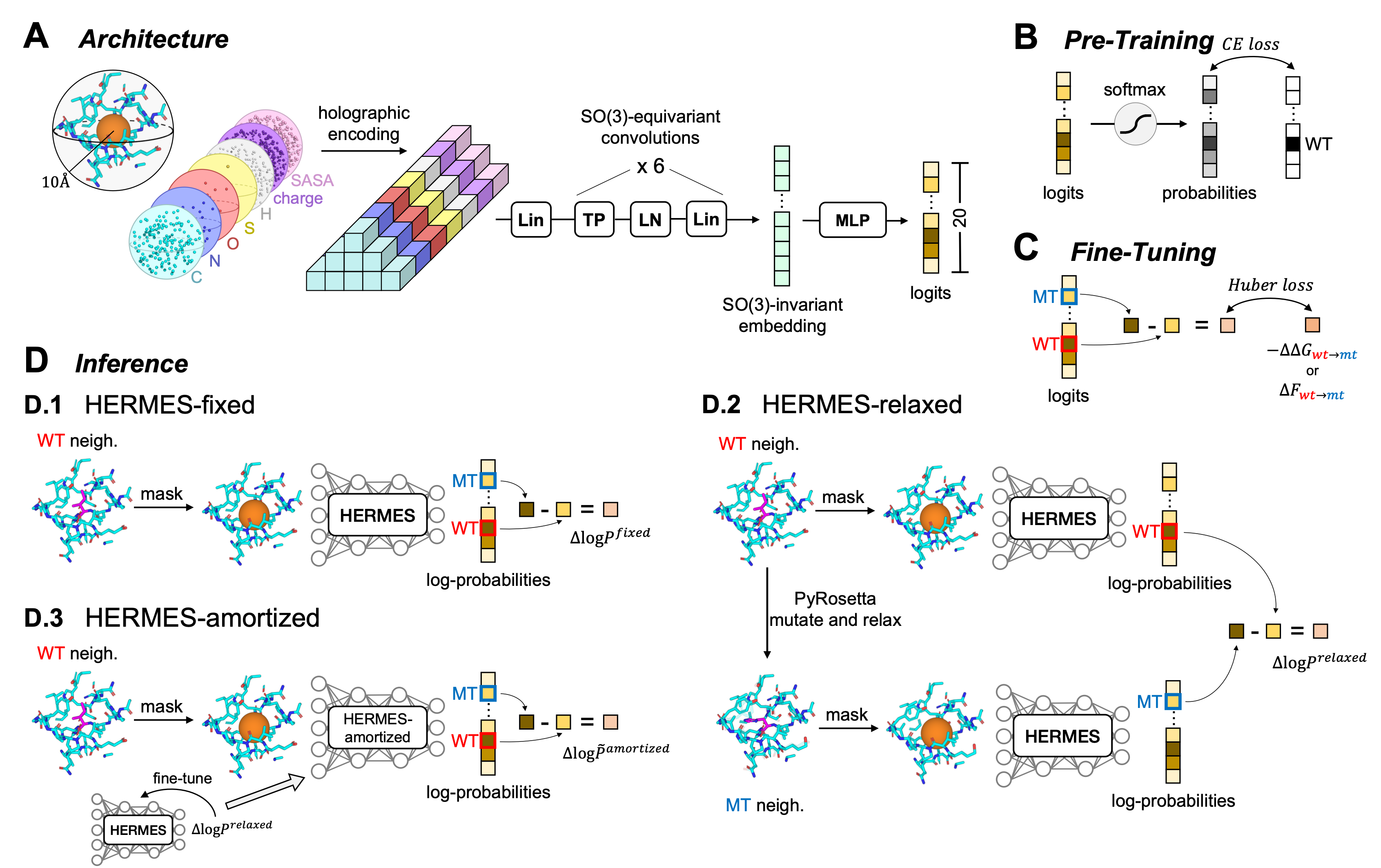 Schematic of HERMES