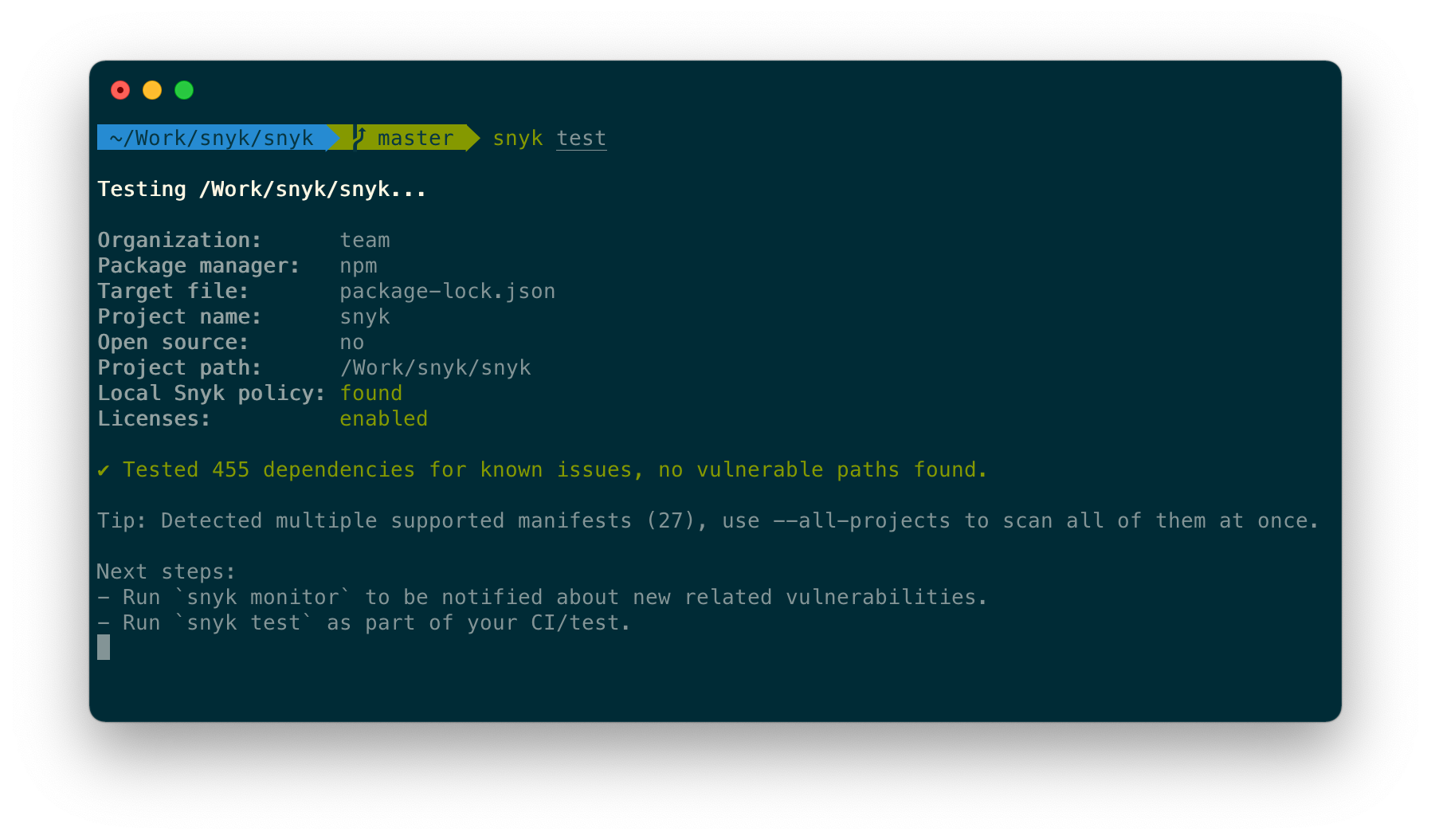 Snyk CLI screenshot