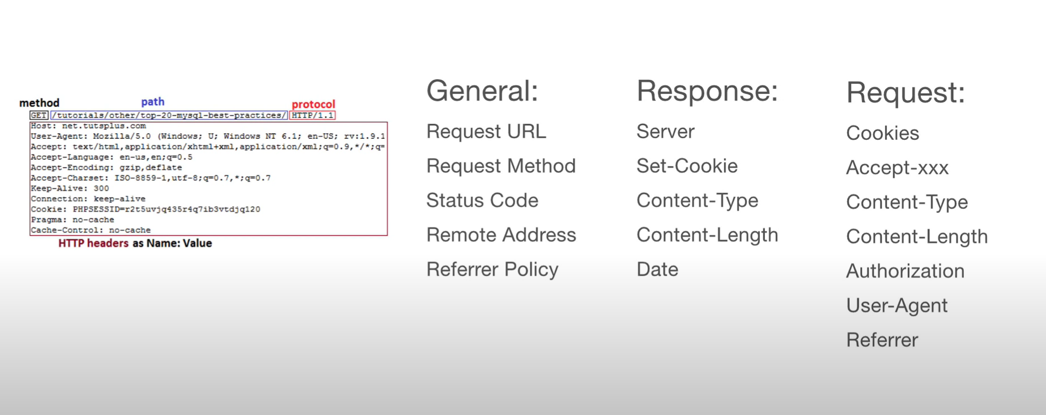 HTTP Header fields