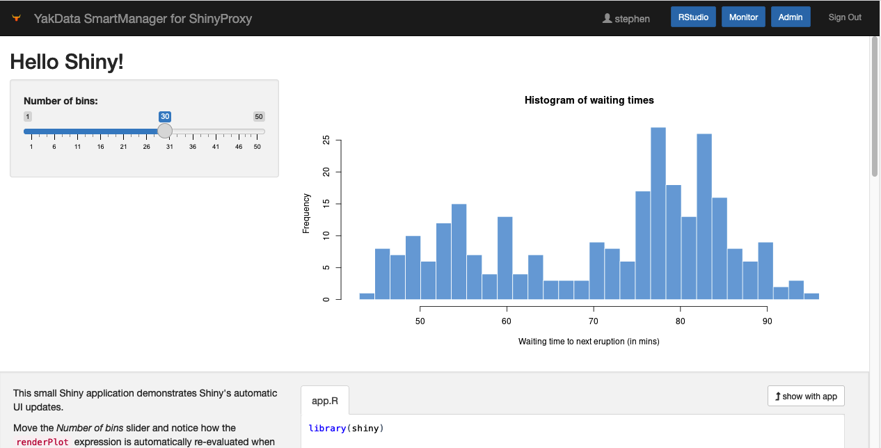 R shiny app example