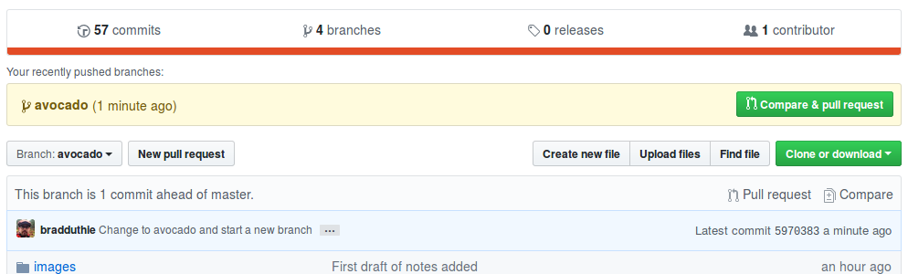 *An example of switching to a different branch*