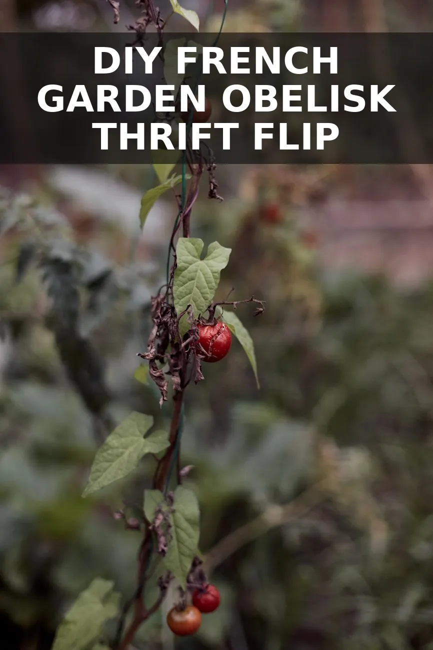How to Turn an $8 Thrifted Wire Tomato Cage into a $380 French Garden Obelisk for $22