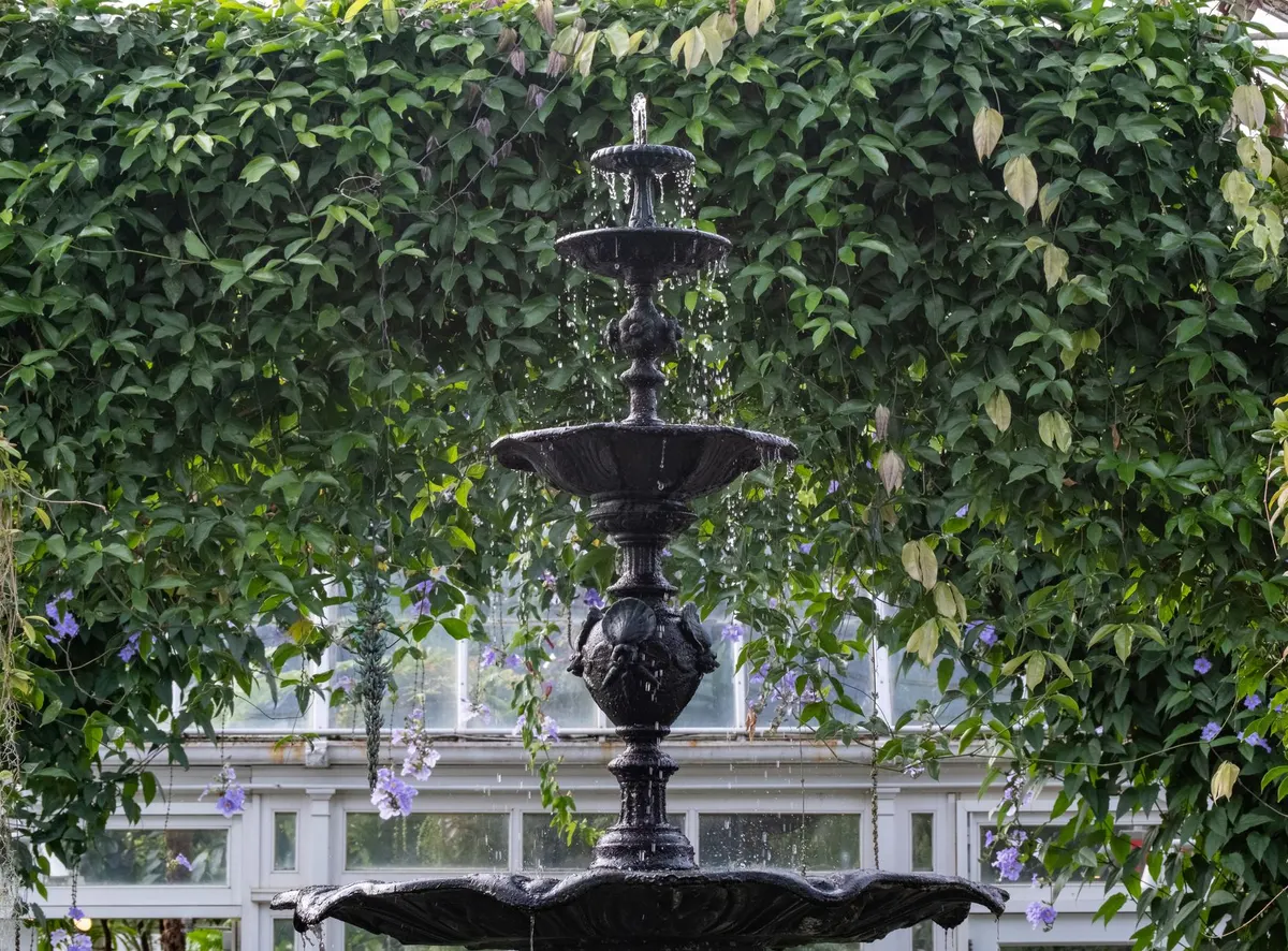 vintage black metal garden obelisk trellis in flower garden with climbing vines