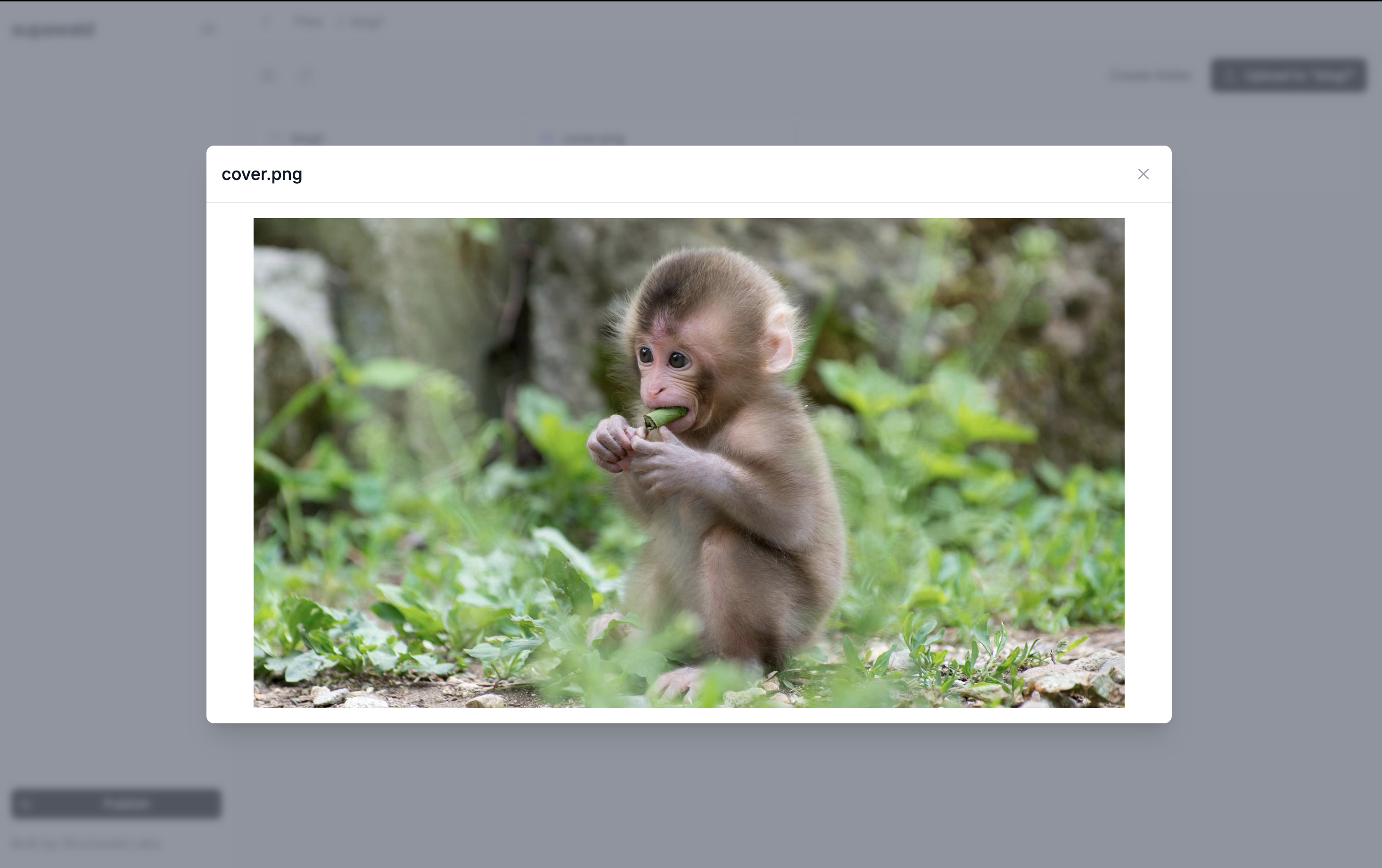 Supawald Screenshot