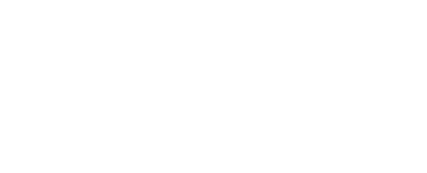 Spotube, from the project README