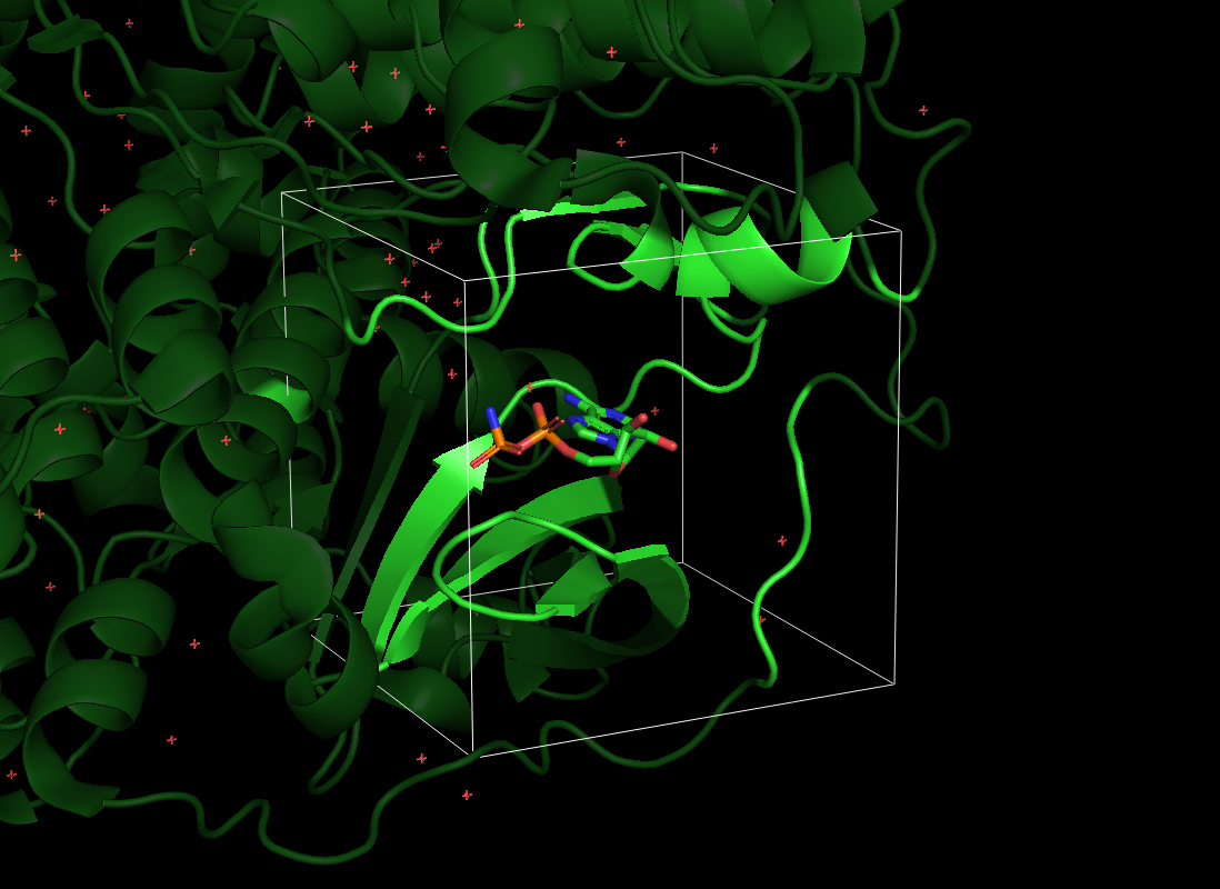 bounding box