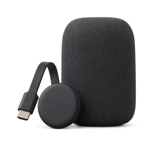 Google Nest speaker and Chromecast device with Google Cast