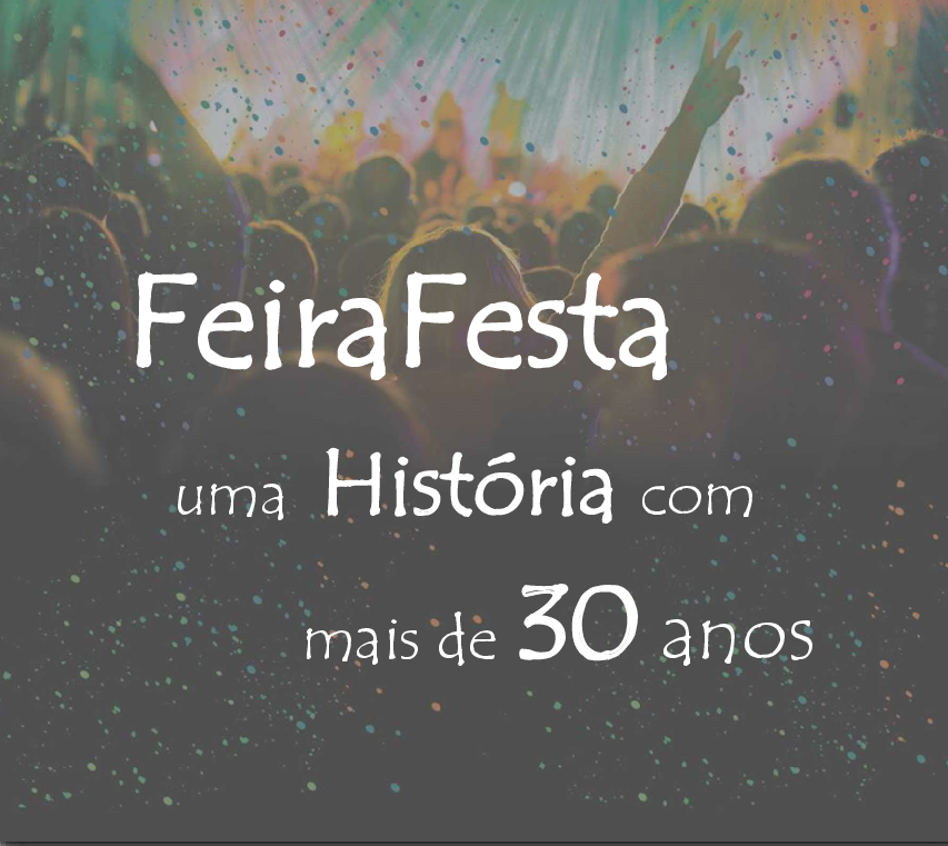 Capa Livro Feira Festa