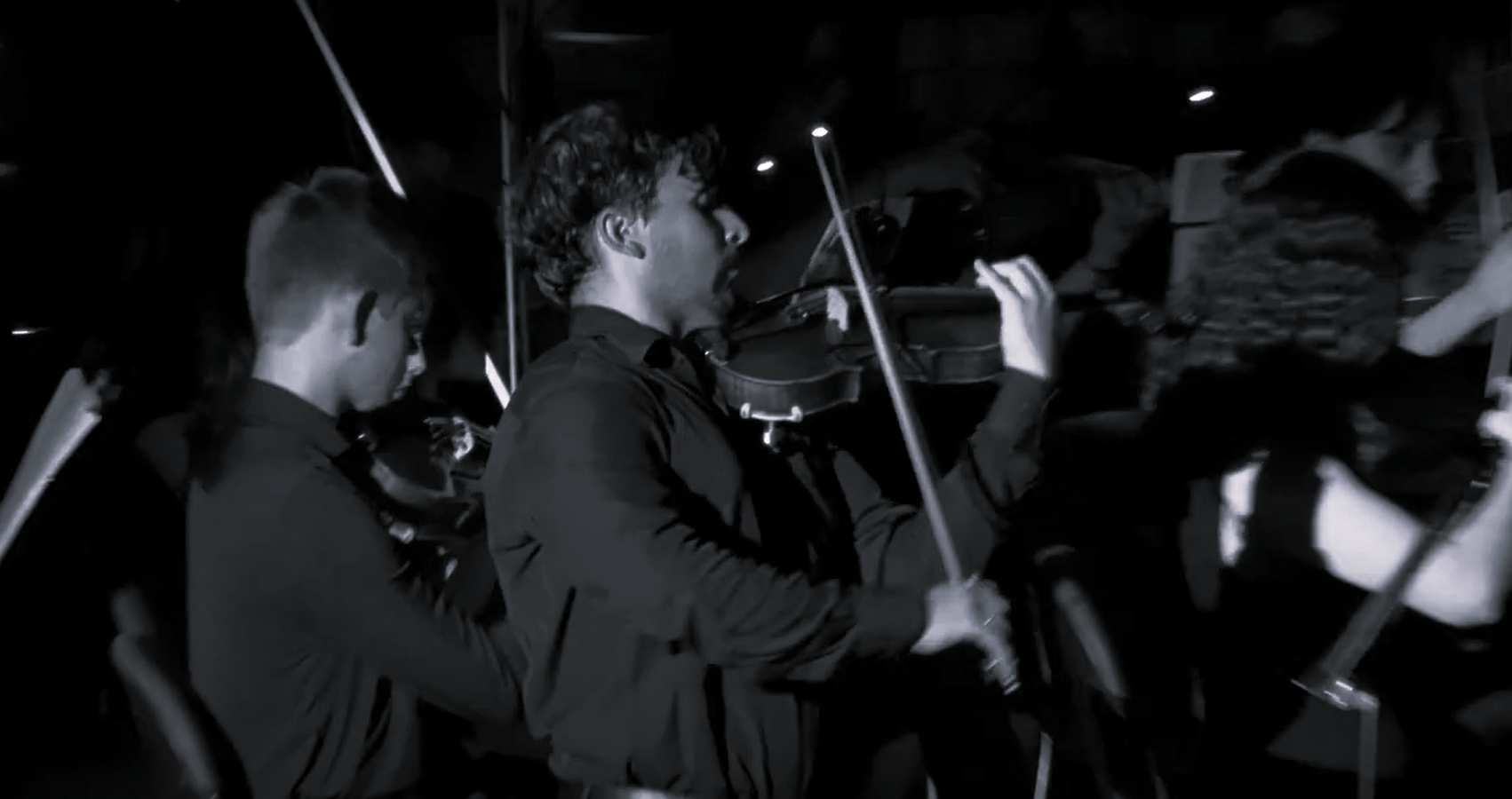 Gonçalo Duarte Violinista