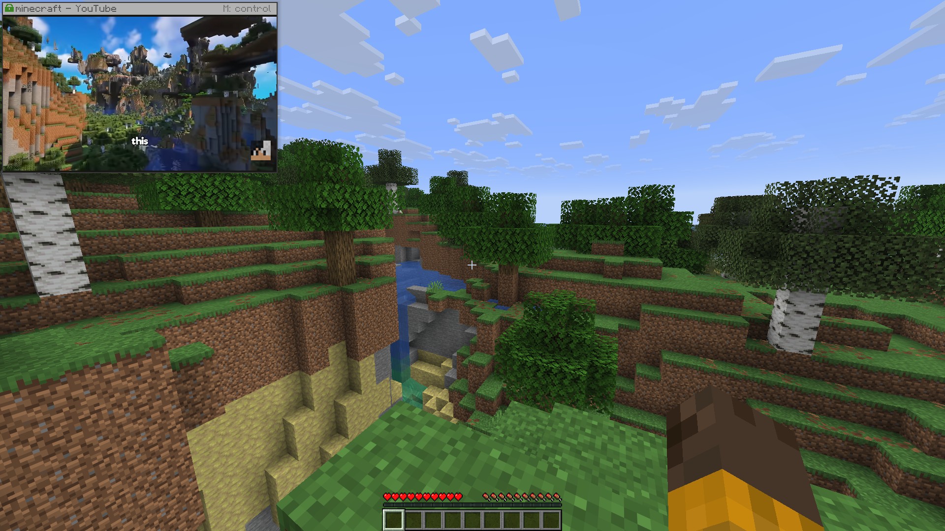 The pinned mini window while playing