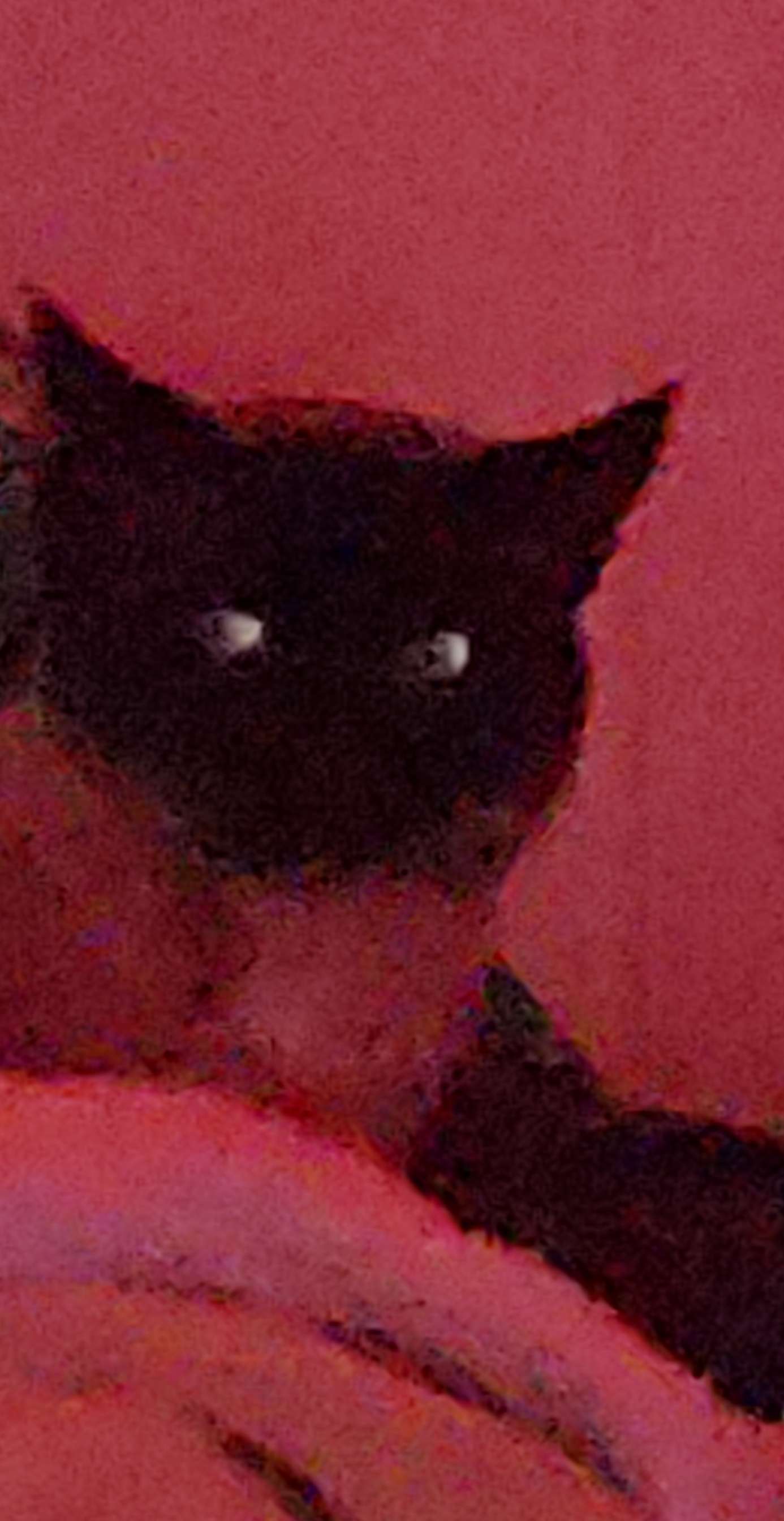 void sam