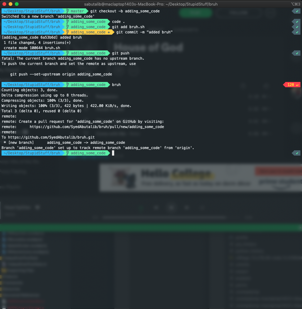 Screenshot of Terminal