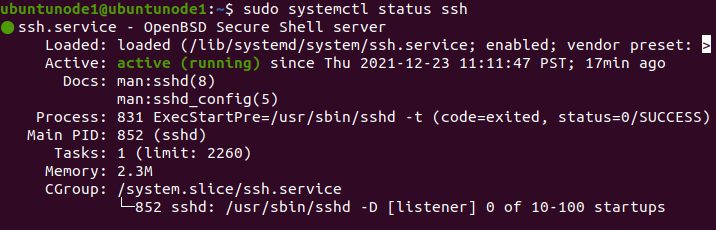 sudo systemctl status ssh