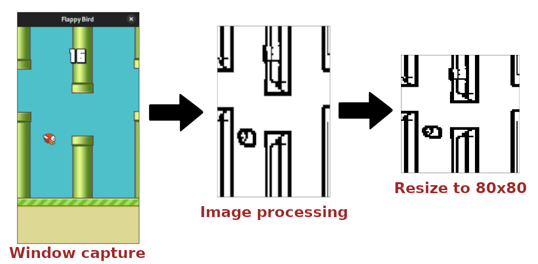 Image processing