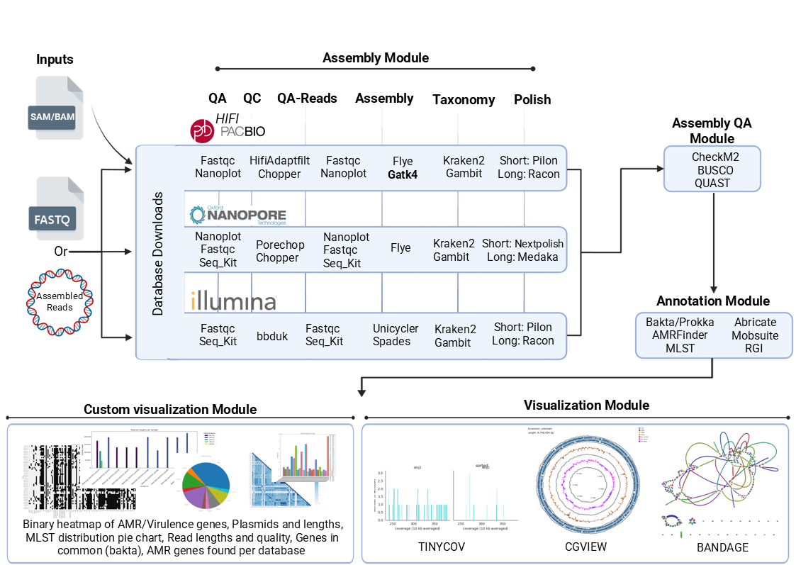 bactiseq workflow visualization
