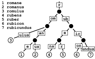 Trie Diagram