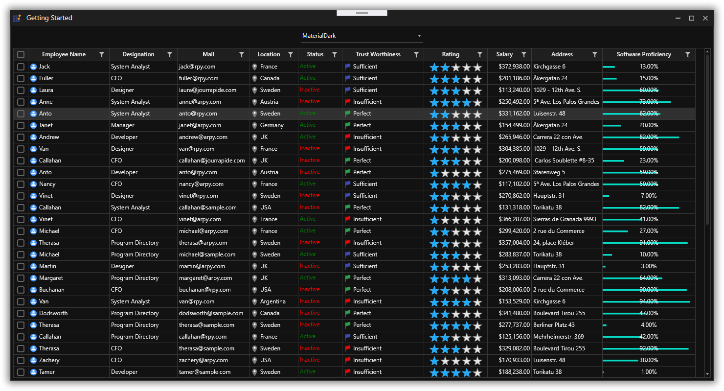 Datagrid with custom theme