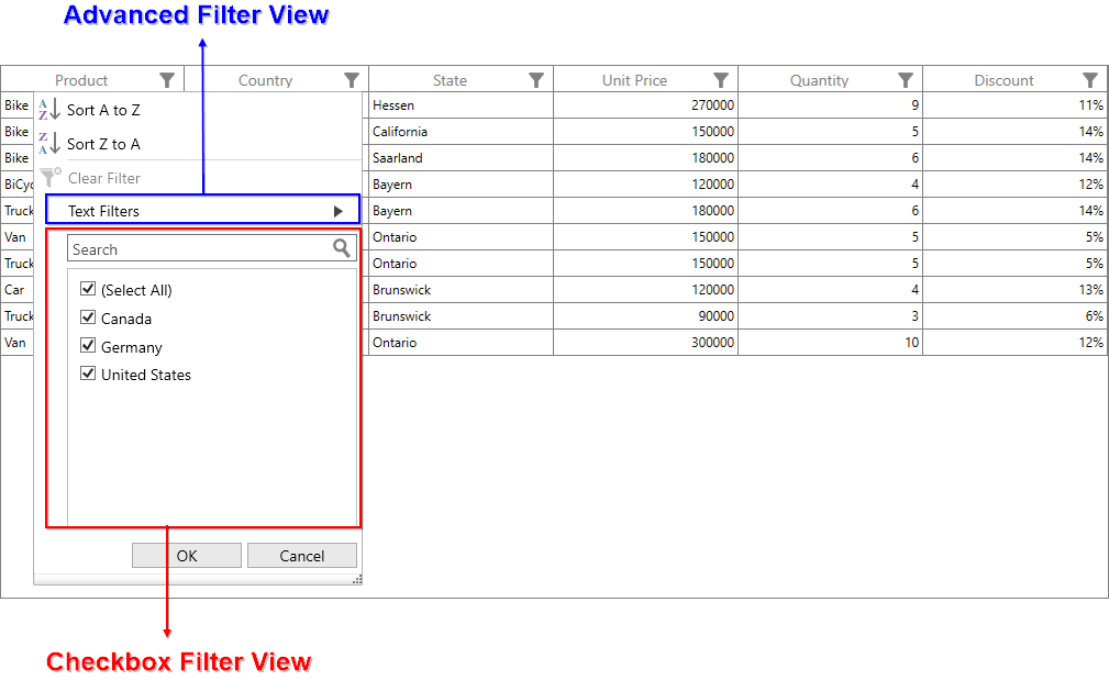 Displays the two UI views in SfDataGrid