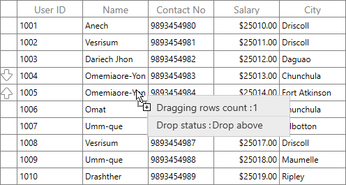 How To Drag And Drop The Rows In WPF Datagrid? | Syncfusion Code Examples