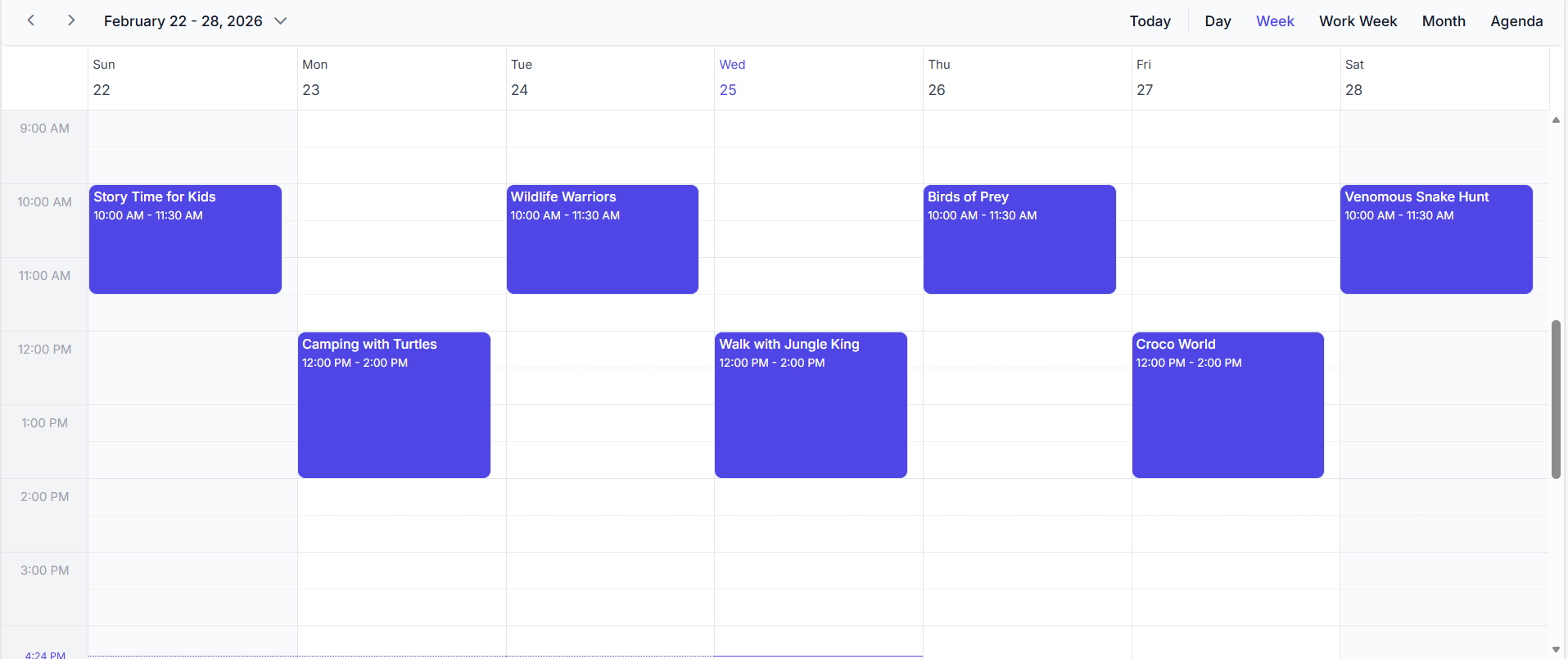 Frontend Preview