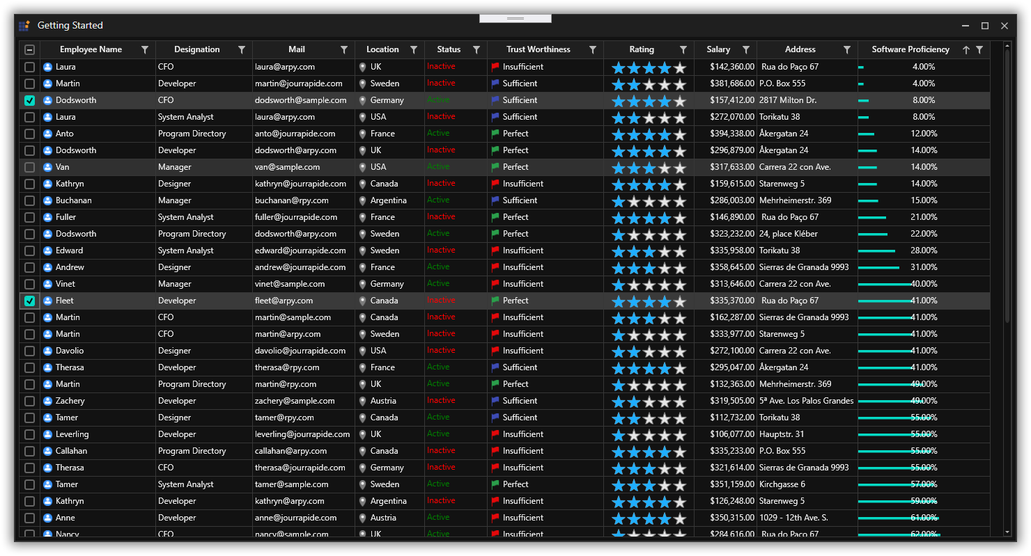 Datagrid with skinmanager theme