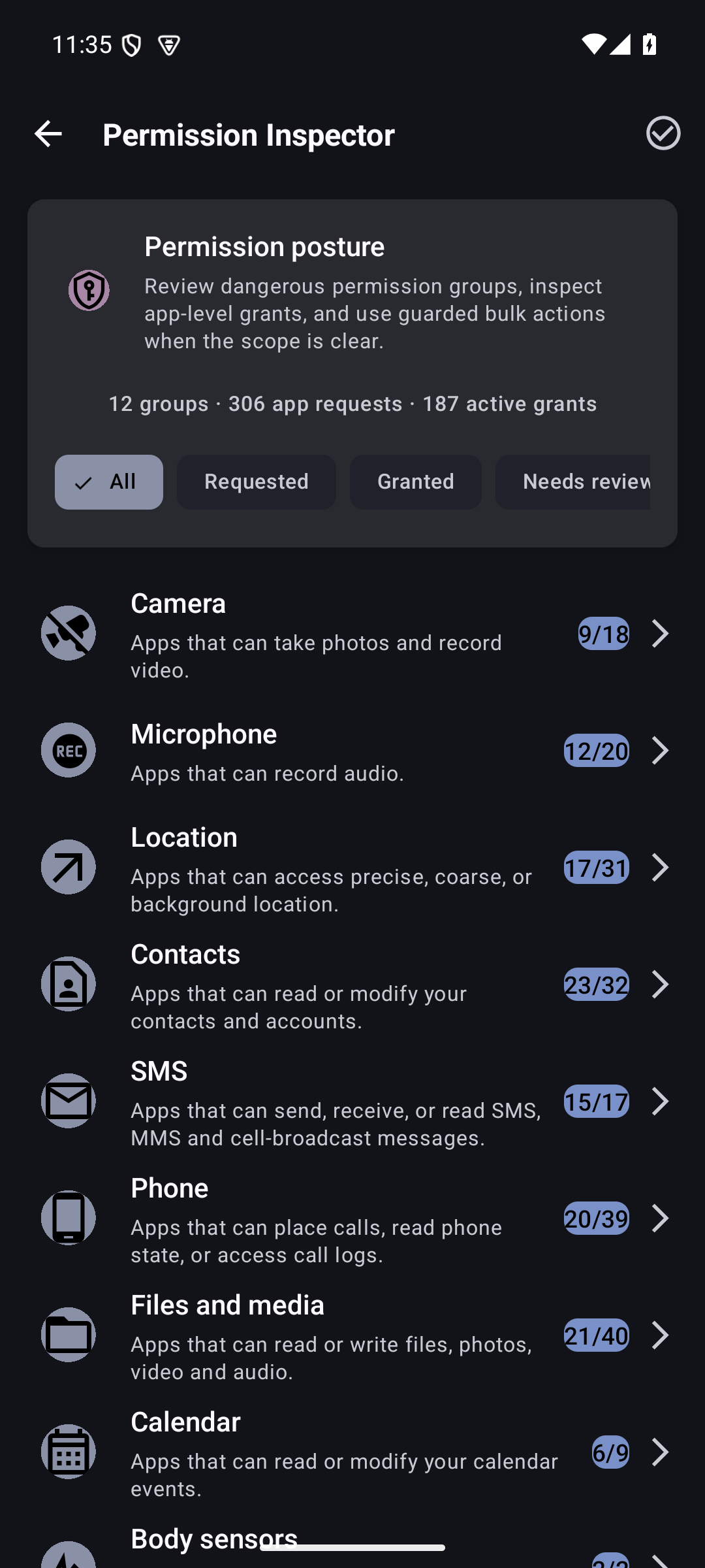 Permission posture and grouped app access review