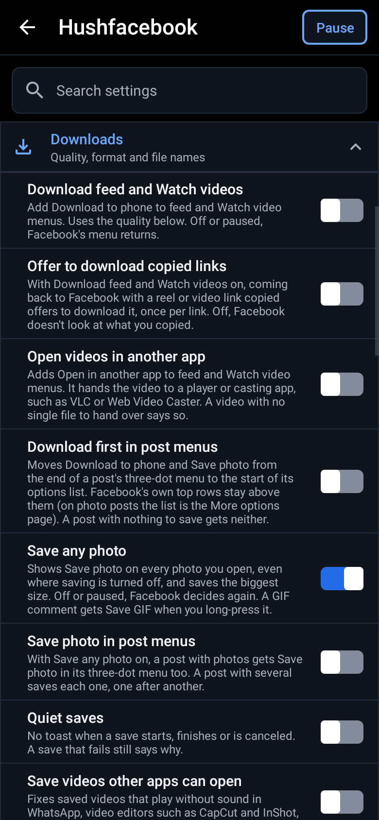 Downloads expanded beneath its heading on the main settings page