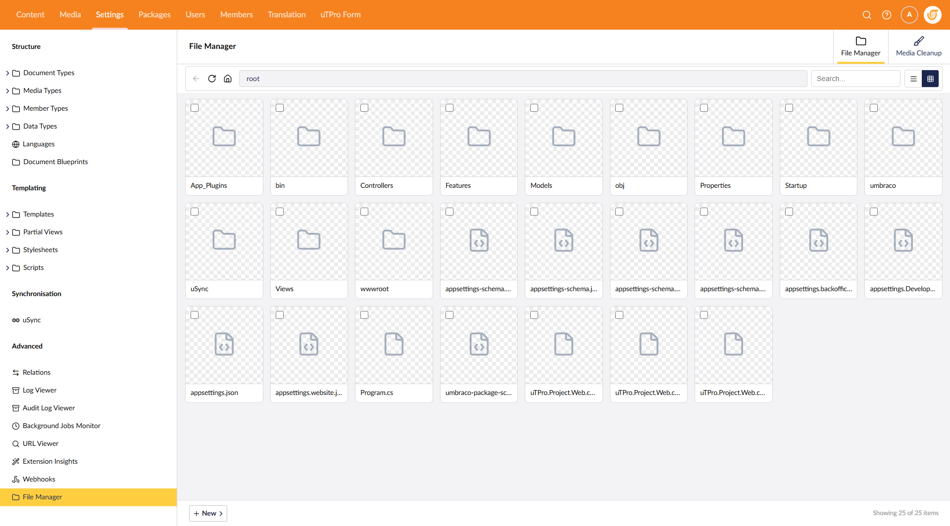 File Manager