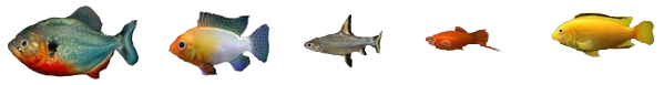 fish.png