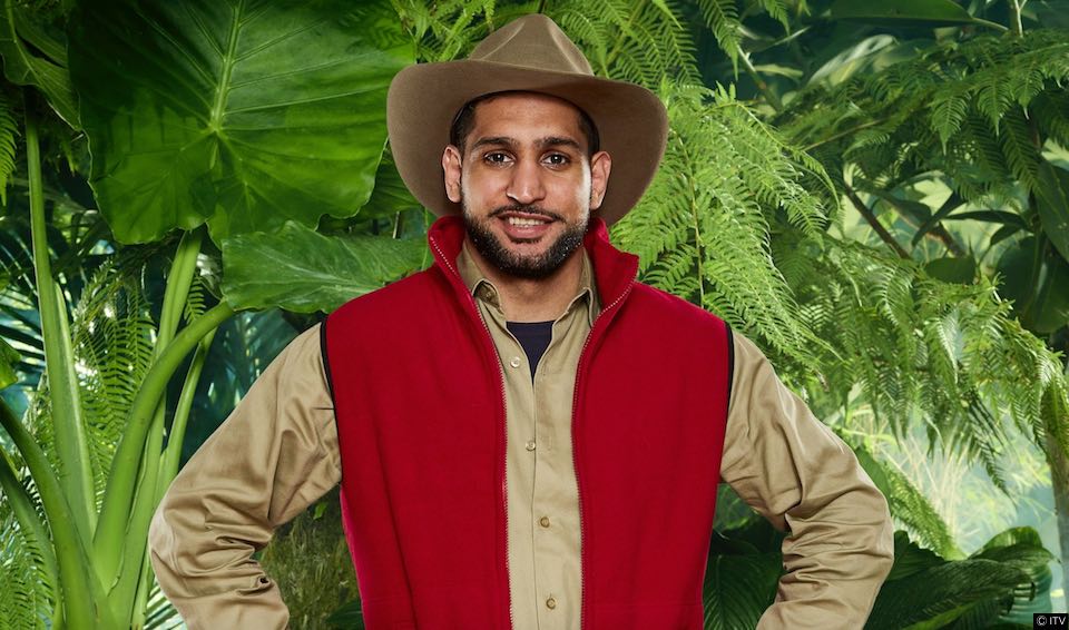 Amir Khan blasted with homophobic comments after failing Jungle task