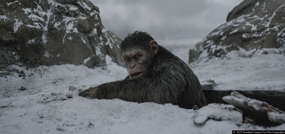 FILM REVIEW | War For The Planet Of The Apes