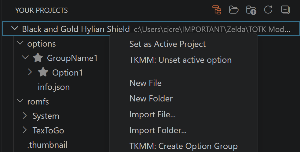 A screenshot of the your Projects page in TKVSC with the two tabs of the T