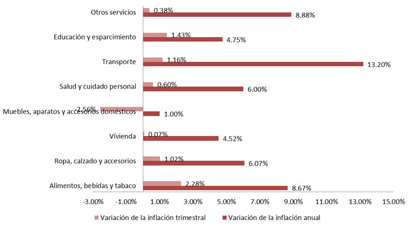 Variación de la inflación en Torreón por objeto del gasto (anual y trimestral)