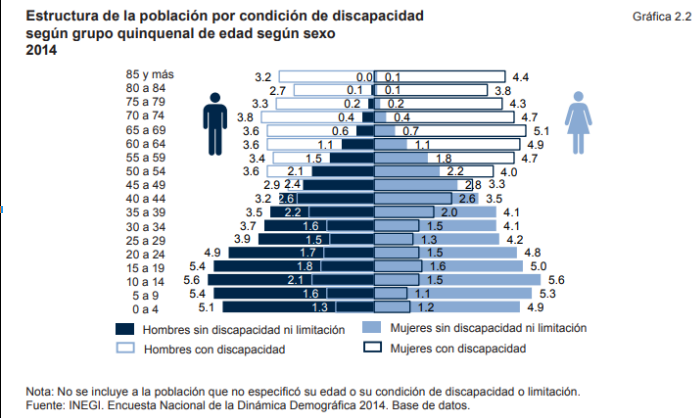 Gráfica discapacidad