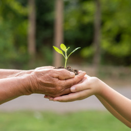 Educación ambiental: una oportunidad para conducir a un crecimiento sostenible.