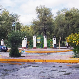 El Bosque Venustiano Carranza: diagnóstico y problemáticas