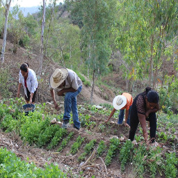 Importancia Agrícola y Ganadera de La Laguna